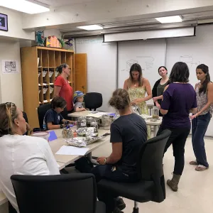 Herbal First Aid Kits For Families Workshop
