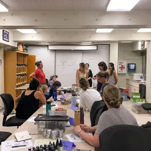 Herbal First Aid Kits For Families Workshop
