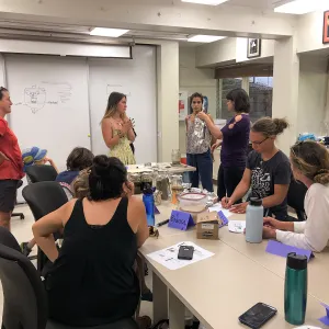 Herbal First Aid Kits For Families Workshop