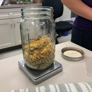 Herbal First Aid Kits For Families Workshop