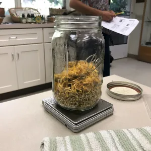Herbal First Aid Kits For Families Workshop