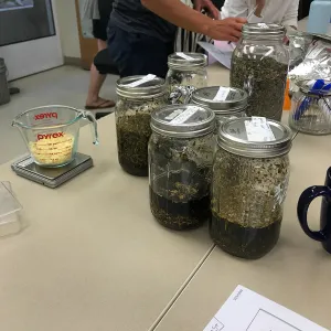 Herbal First Aid Kits For Families Workshop