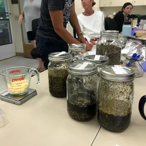 Herbal First Aid Kits For Families Workshop