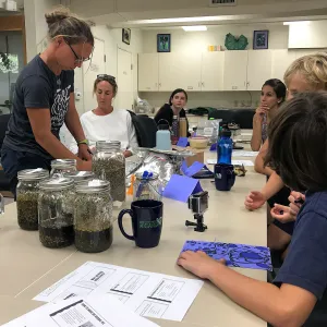 Herbal First Aid Kits For Families Workshop