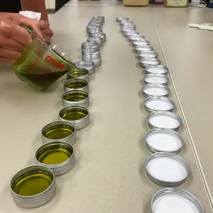 Herbal First Aid Kits For Families Workshop