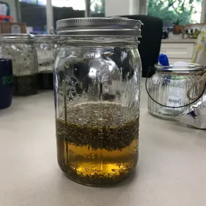 Herbal First Aid Kits For Families Workshop