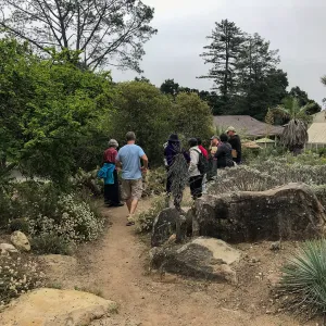 Building Habitat in Your Home Garden class with Stephanie Ranes