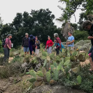 Building Habitat in Your Home Garden class with Stephanie Ranes