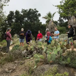Building Habitat in Your Home Garden class with Stephanie Ranes