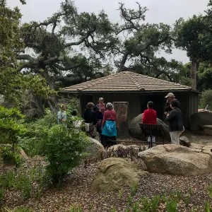 Building Habitat in Your Home Garden class with Stephanie Ranes