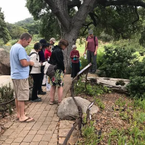Building Habitat in Your Home Garden class with Stephanie Ranes