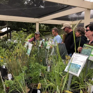 Building Habitat in Your Home Garden class with Stephanie Ranes