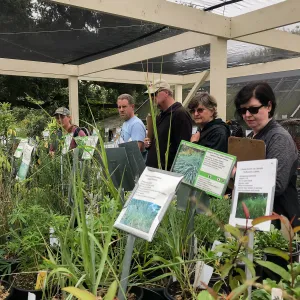 Building Habitat in Your Home Garden class with Stephanie Ranes
