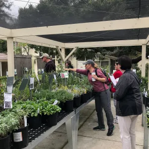 Building Habitat in Your Home Garden class with Stephanie Ranes