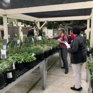 Building Habitat in Your Home Garden class with Stephanie Ranes