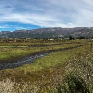 Carpinteria Bluffs and Marsh Field Trip