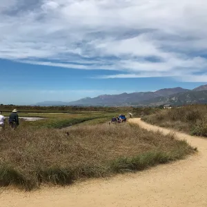 Carpinteria Bluffs and Marsh Field Trip