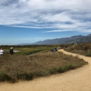 Carpinteria Bluffs and Marsh Field Trip