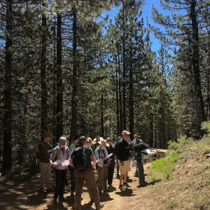 Mt. PiÃ±os field trip