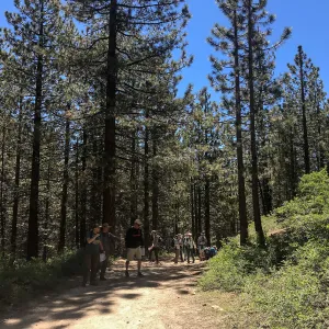 Mt. PiÃ±os field trip