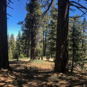 Mt. PiÃ±os field trip