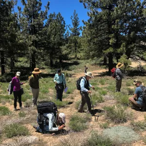 Mt. PiÃ±os field trip