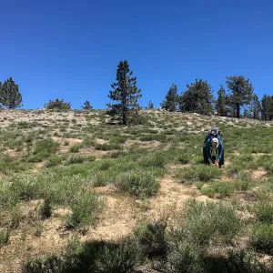 Mt. PiÃ±os field trip