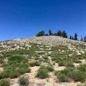 Mt. PiÃ±os field trip