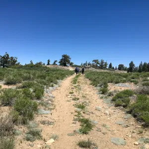 Mt. PiÃ±os field trip