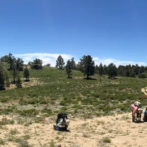 Mt. PiÃ±os field trip