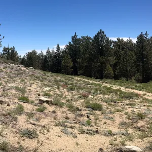 Mt. PiÃ±os field trip