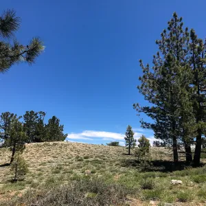 Mt. PiÃ±os field trip