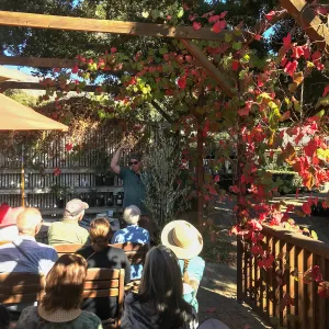 Pruning Natives Demystified with Bruce Reed