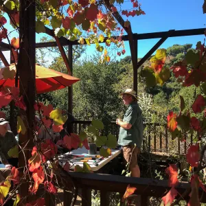 Pruning Natives Demystified with Bruce Reed