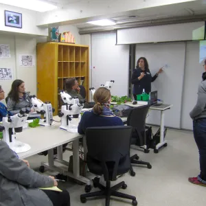 Advanced Plant Identification with Mary Carroll