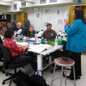 Advanced Plant Identification with Mary Carroll