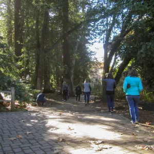 Forest Bathing Class