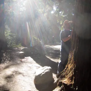 Forest Bathing Class