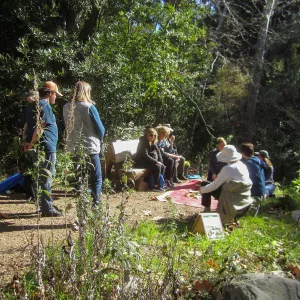 Forest Bathing Class
