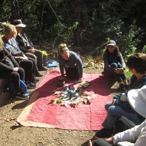 Forest Bathing Class