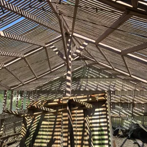 Repair of Garden Growers Lath House, looking east