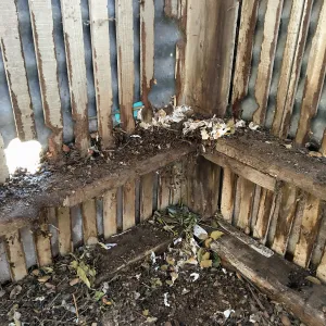 Repair of Garden Growers Lath House