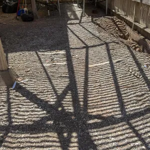 Repair of Garden Growers Lath House, looking west