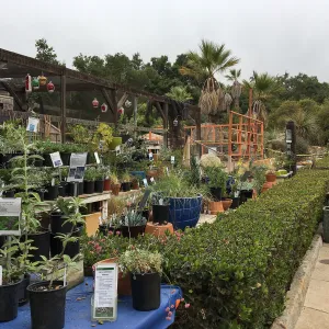 Repair of Garden Growers Lath House