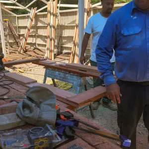 Lath house reconstruction