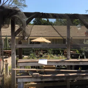 Repair of Garden Growers shade structure, looking east