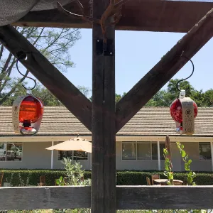 Repair of Garden Growers shade structure, looking east