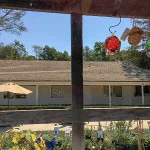 Repair of Garden Growers shade structure, looking east