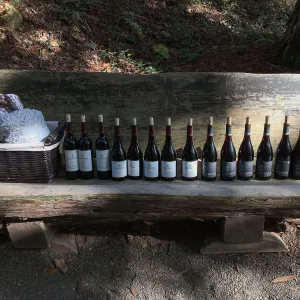 Garden to Table Dinner in the Redwoods