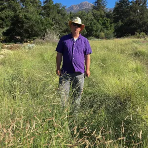 Bruce Reed in Bouteloua in Meadow